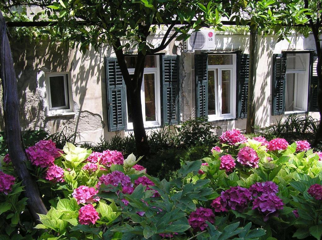 Studio Elly Ντουμπρόβνικ Δωμάτιο φωτογραφία